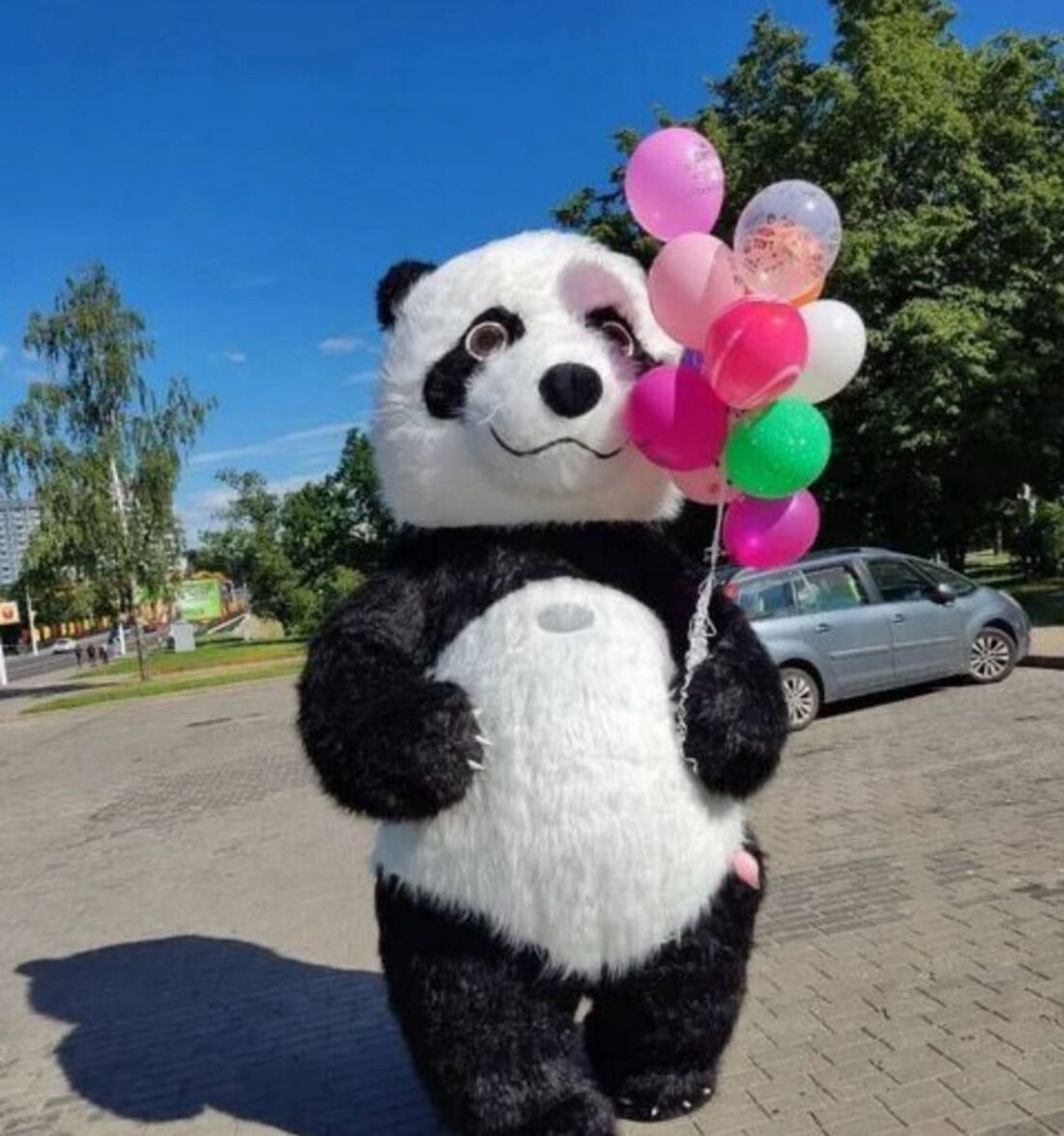 Заказать панду на день рождения в Туле — ростовая кукла Mishka71